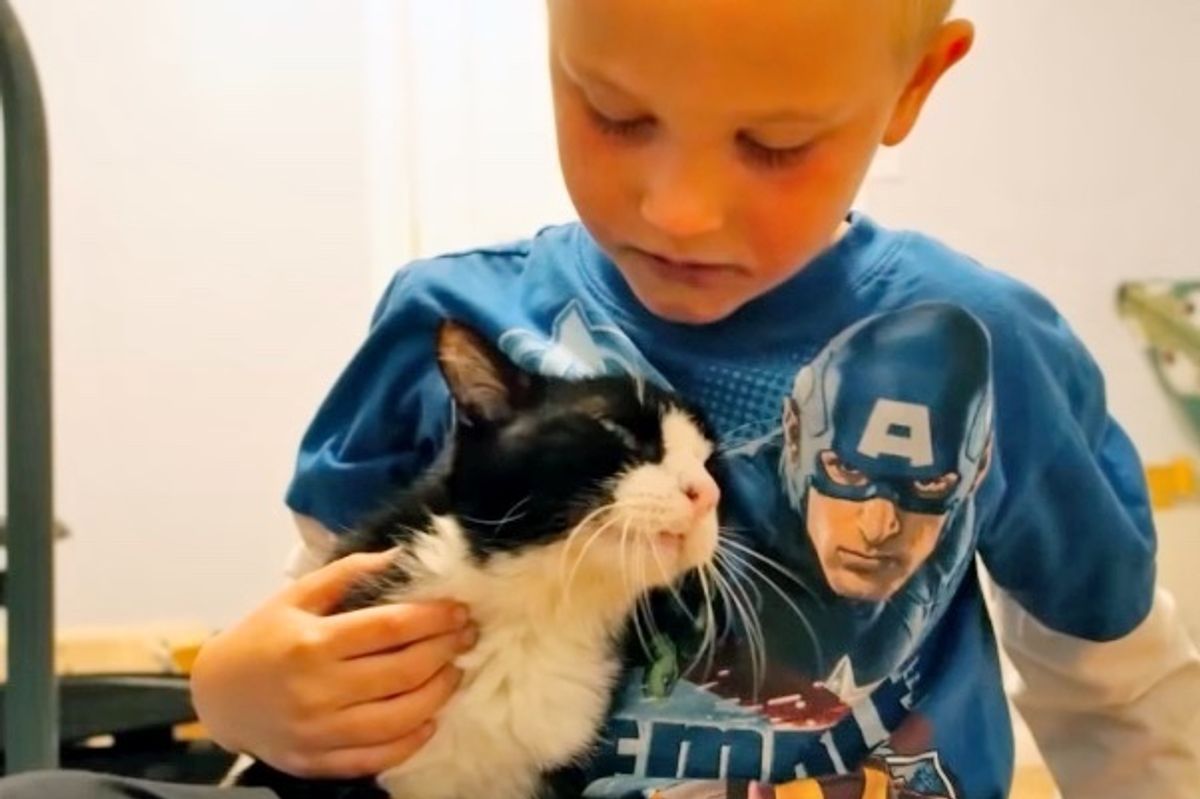 Cat Was 20 When He Found His Home, No One Expected Just How Much Love He Had