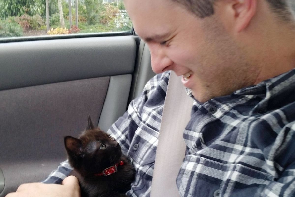 The Joy When This Guy is Chosen by a Tiny Kitten... (with Updates)