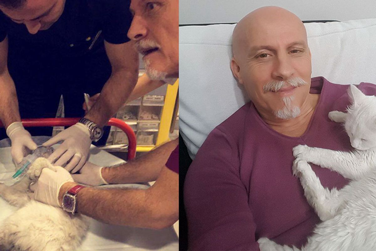 ER Doctor Brings Nearly Lifeless Stray Cat Back to Life