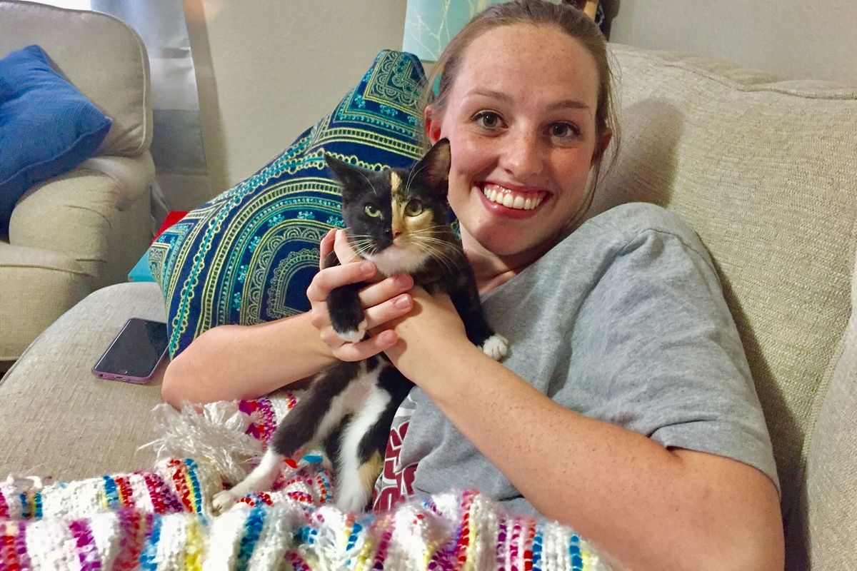 Man Brought Kitten with No Mom to Comfort His Wife Who Had a Miscarriage