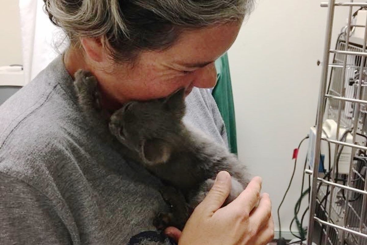 Abandoned Kitten Saved from Highway Can't Stop Thanking Her Rescuers