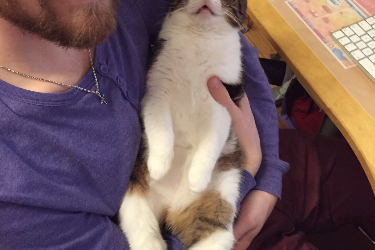 They Give Special Needs Cat a Home, He Hasn't Stopped Cuddling Since
