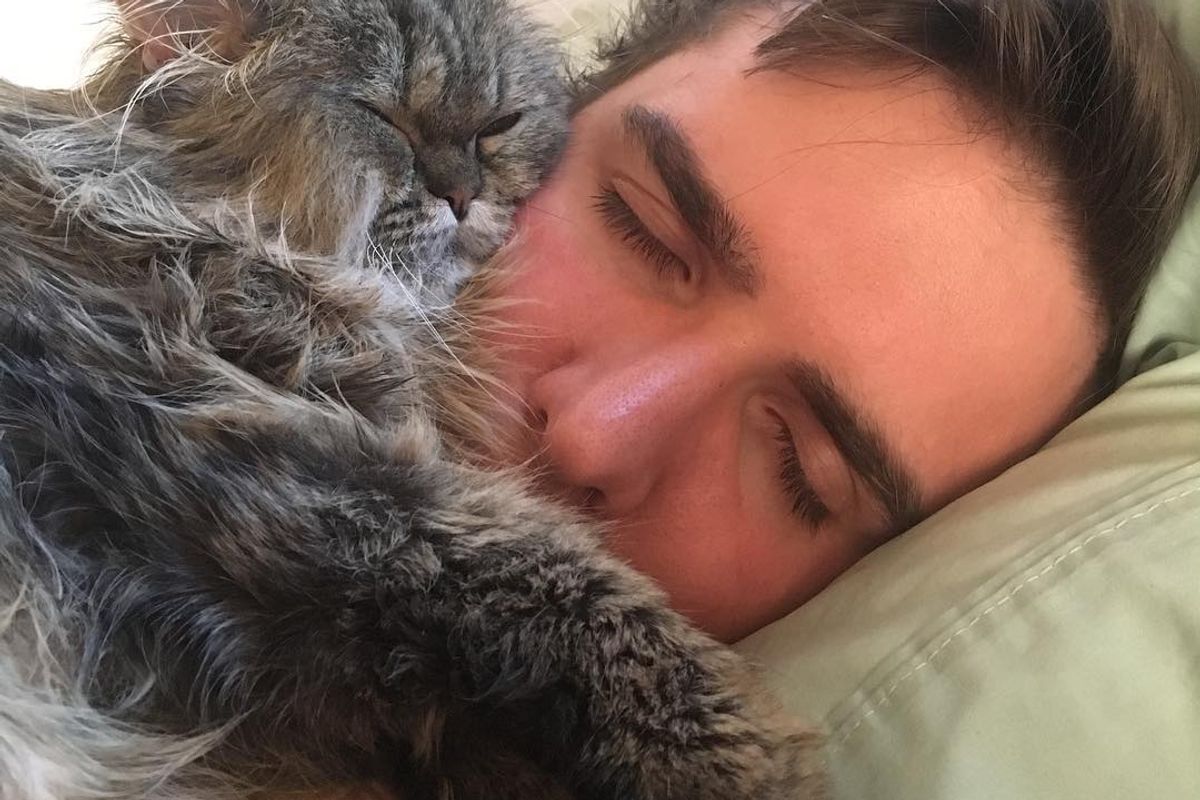 Couple Refuse to Give Up on Paralyzed Cat Even When Told Many Times to