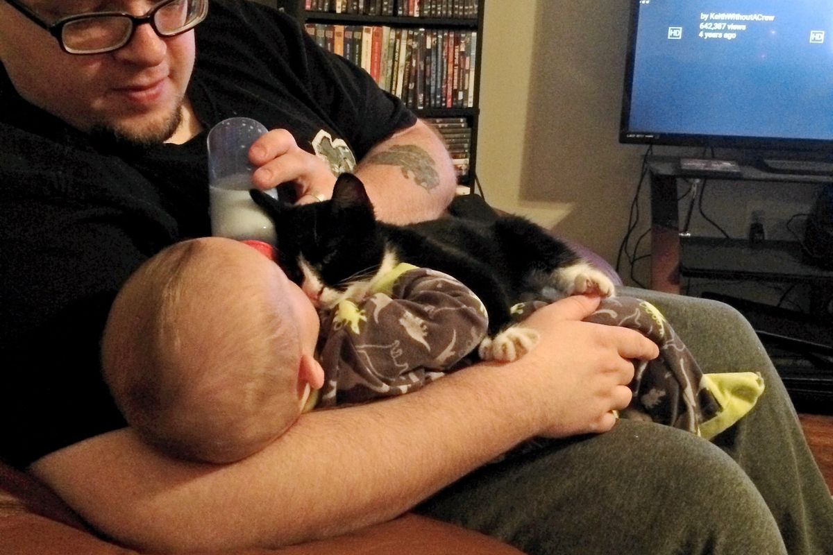 Man Saves Homeless Kitten, the Kitty Returns the Favor...