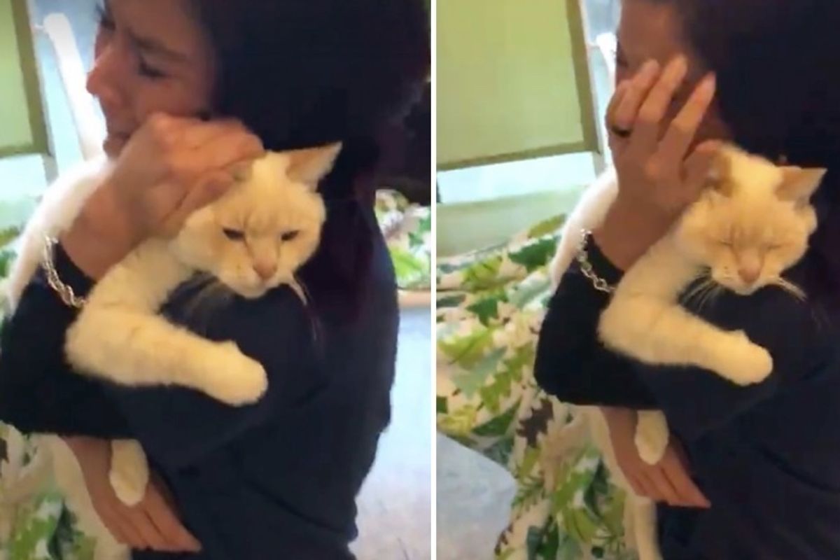 Woman Never Gave Up Searching For Her Cat, She Couldn't Believe It After Nearly 2 Years..