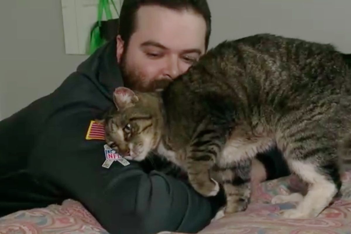 Man Finds Freezing Cat Under Train Engine and Brings Him Back from the Brink