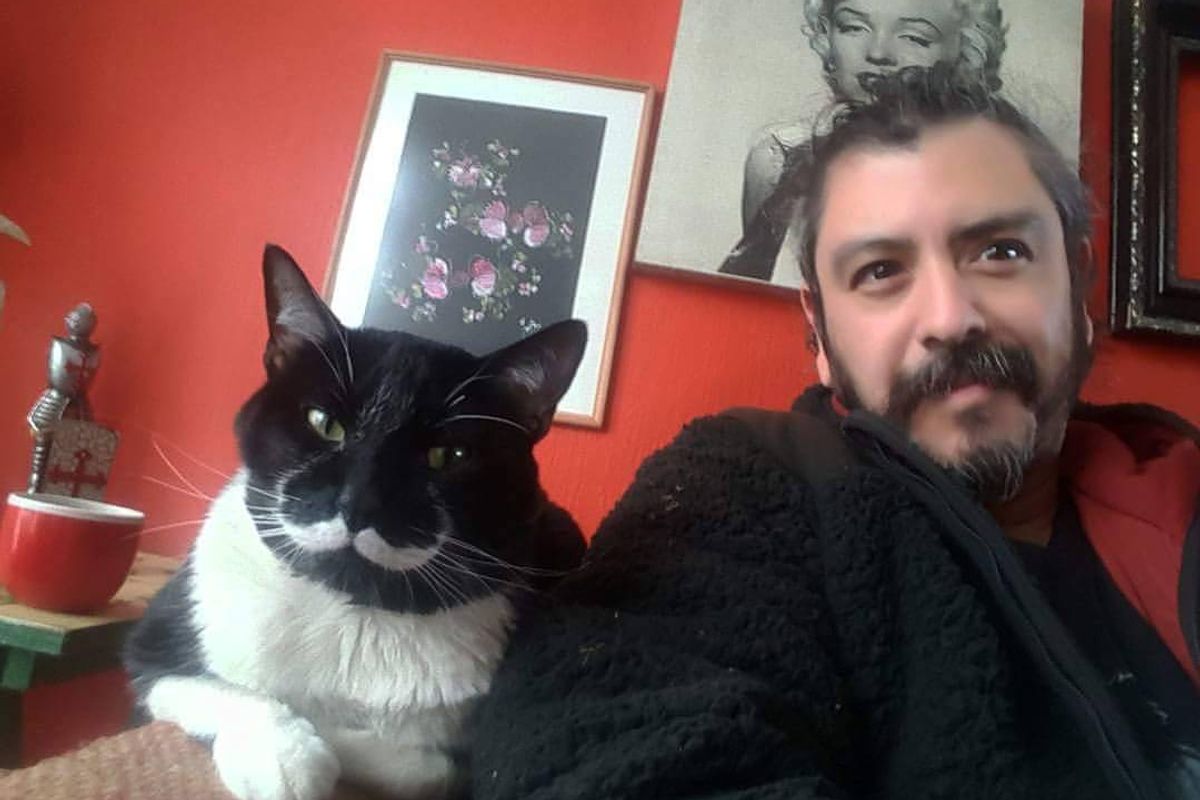 Man Finds Tuxedo Cat with Purrfect Stache and Gentle Heart
