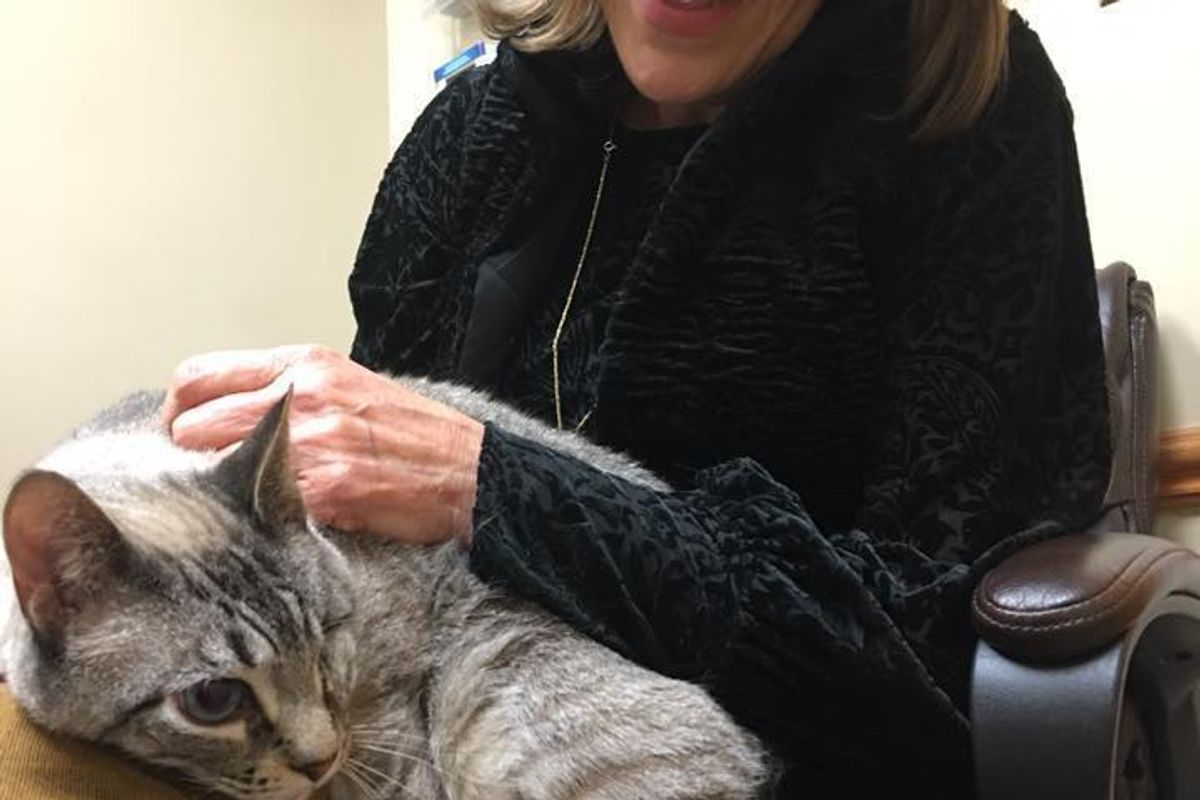 After Waiting for 1.5 Years, 8-year-old One-eyed Cat Got His Wish This Christmas