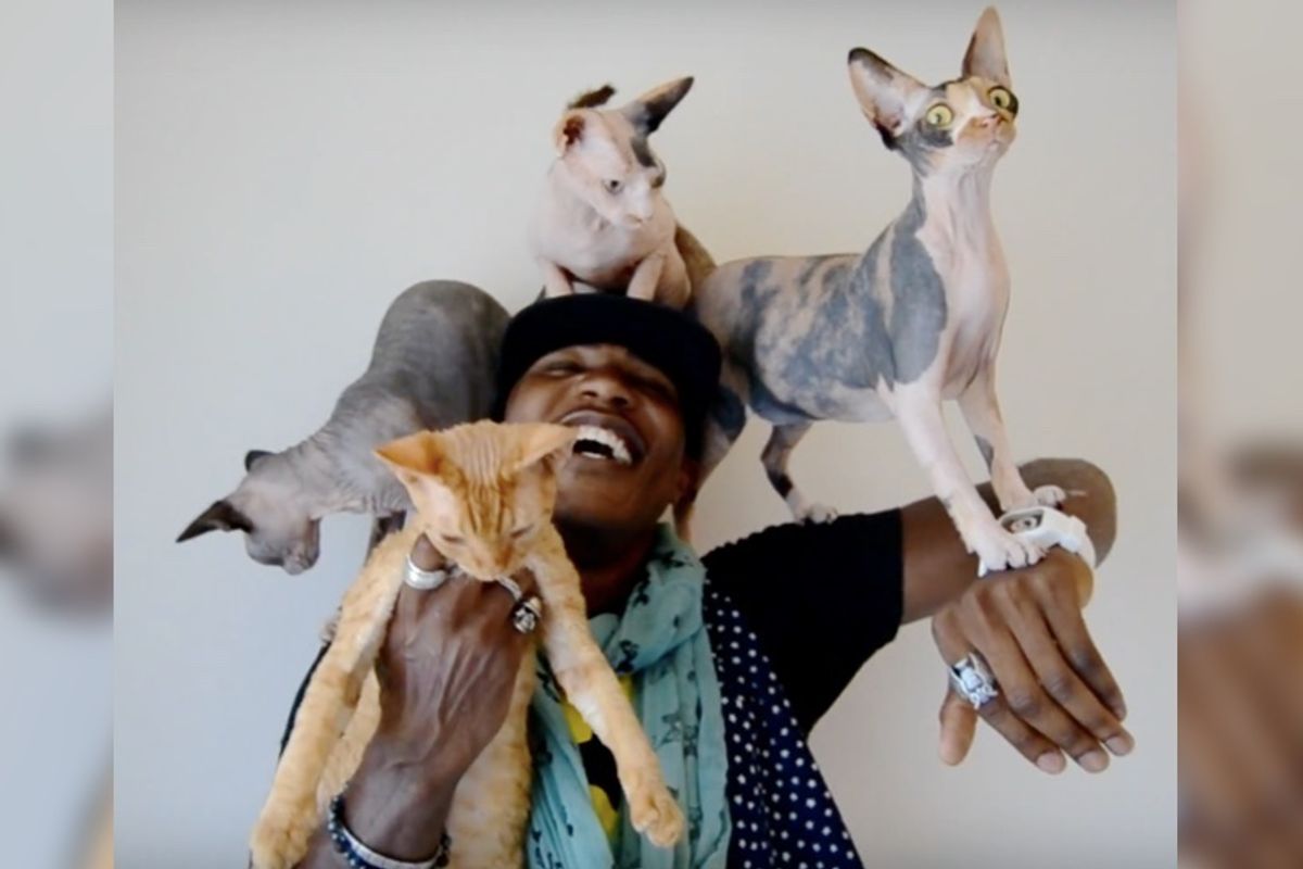 Man Who Never Liked Cats Now Can’t Live Without Them and Helps Them with His Raps