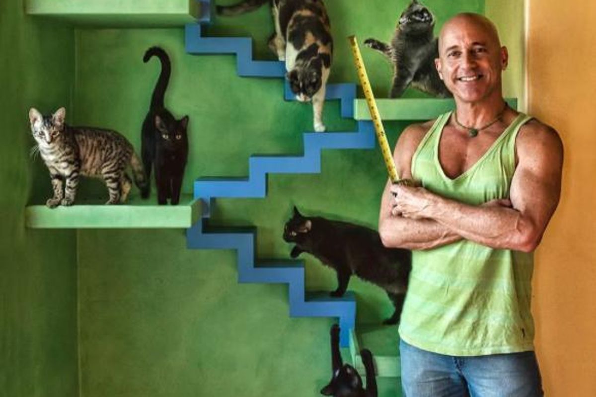 Man Transforms His House into Cat Paradise for His 22 Rescued Cats