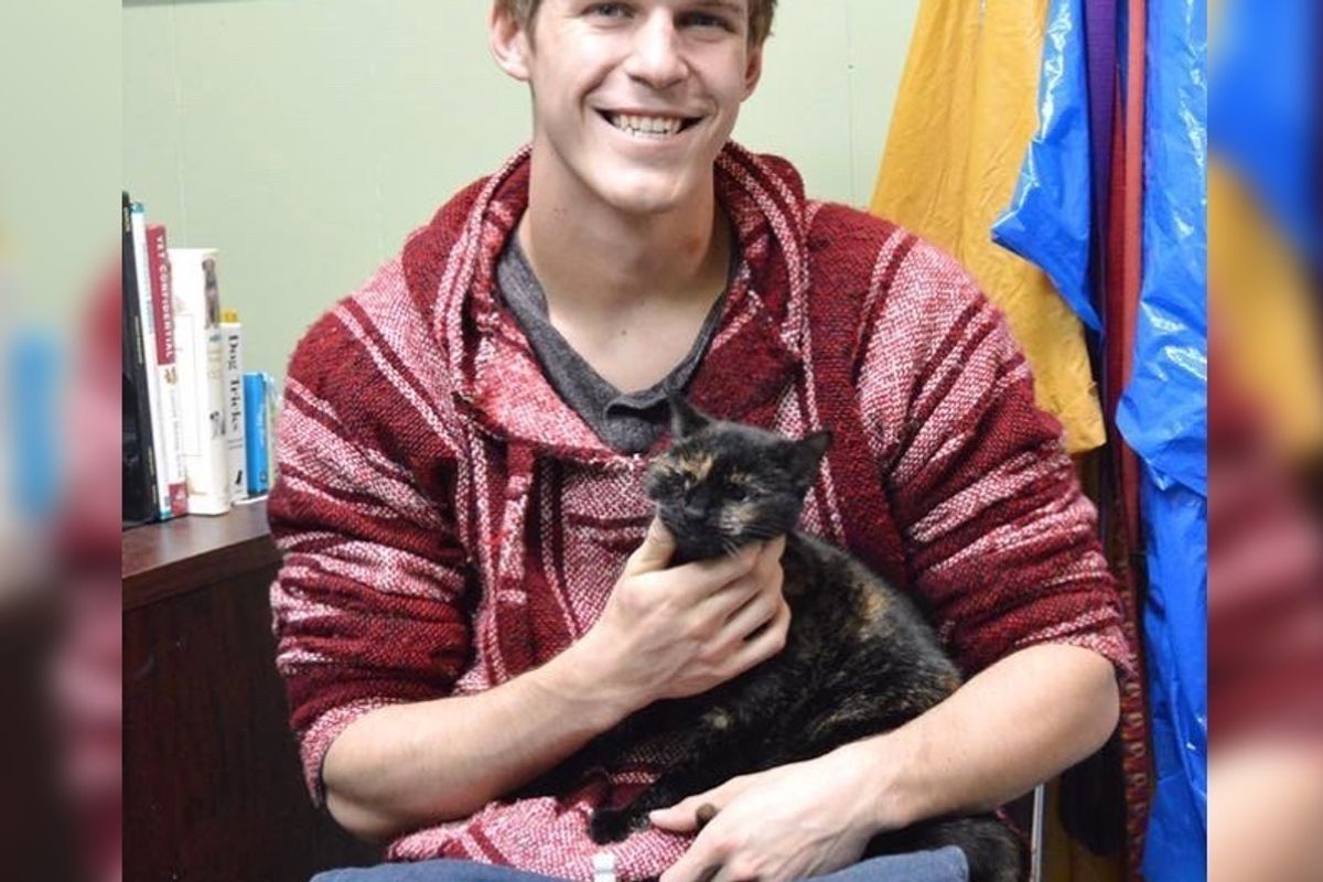 Shy Cat Had Hard Time Finding a Home, Turns Out, There Was a Special Reason...