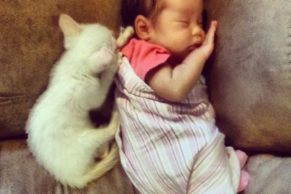 Tiny Kitten Bonds with Baby Girl and Becomes Her Guardian for Life, Then and Now