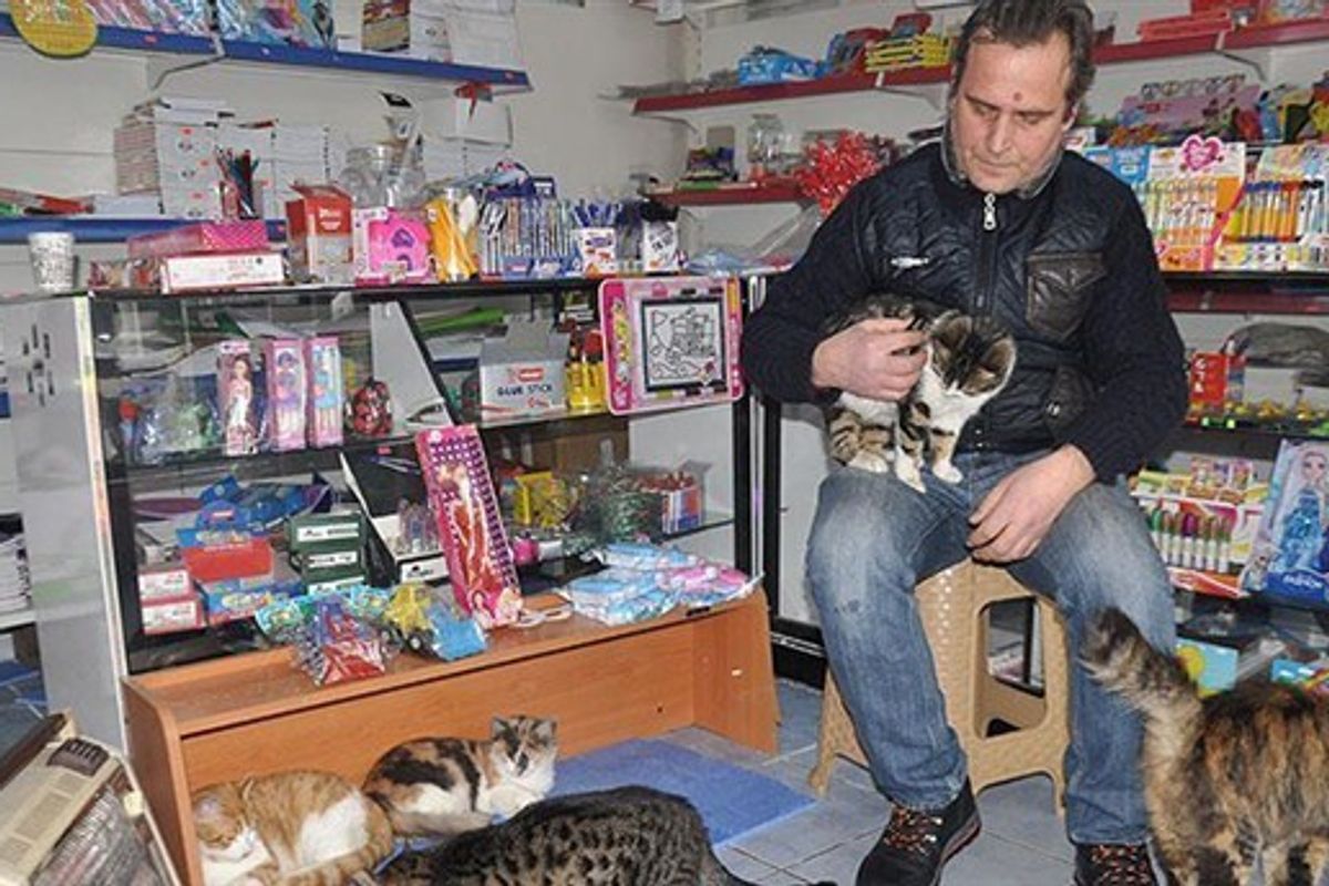 Man Turns His Shop into Refuge for Stray Cats During Harsh Snowstorm