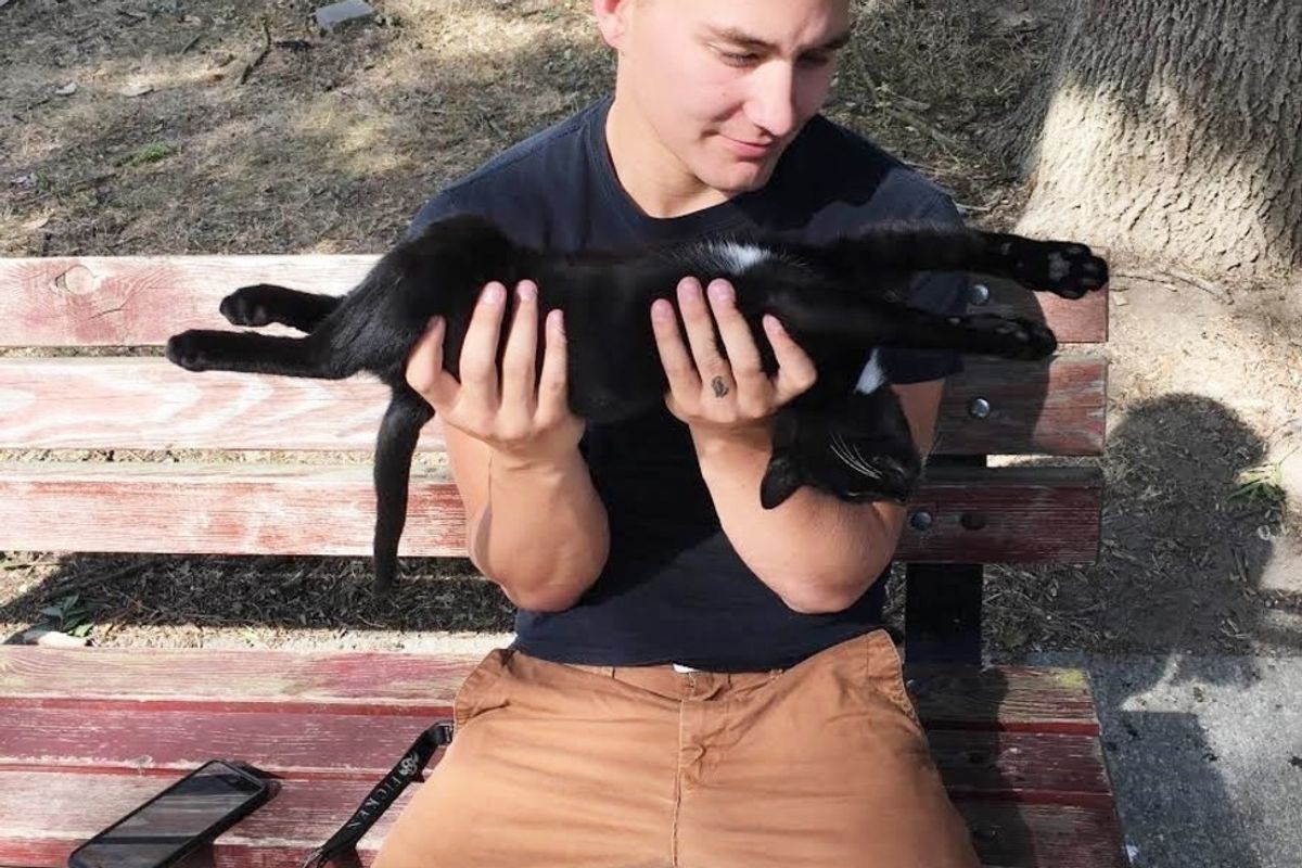 Stray Cat Walks Up to Soldier and Demands to Be Adopted (With Updates)