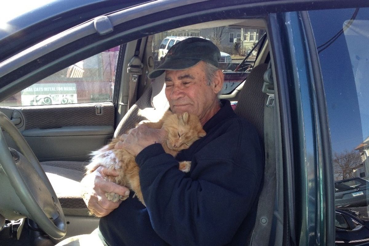 Scrap Metal Worker Feeds Neighborhood Cats, Hasn't Missed a Day in 22 Years..