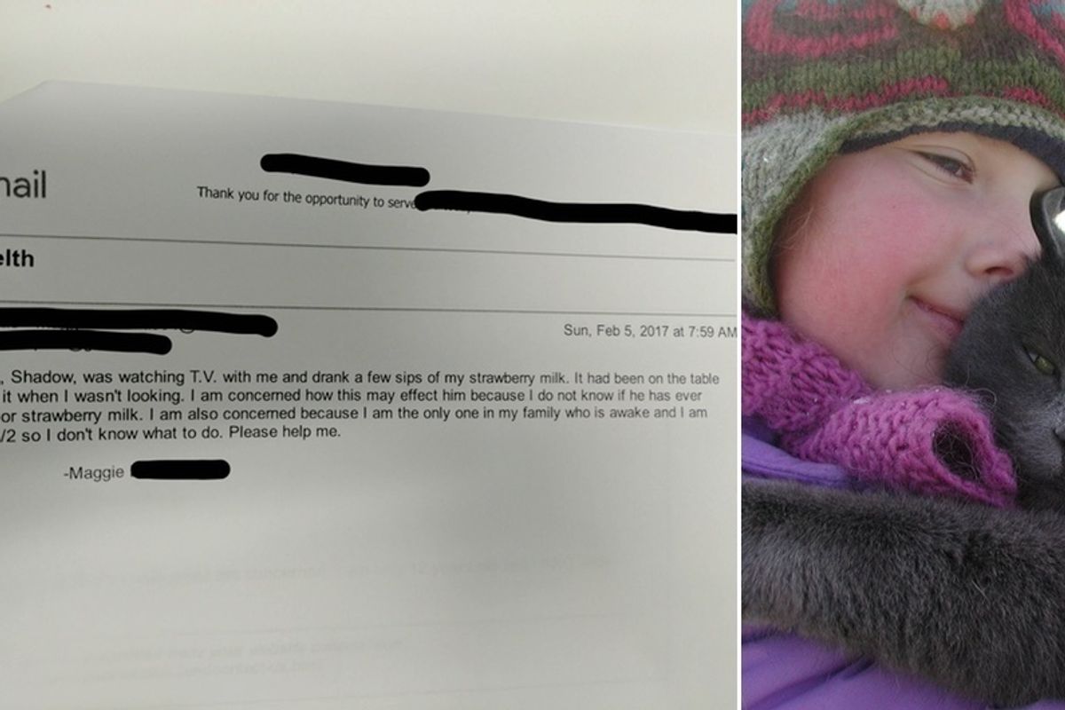 Concerned 12 Year Old Girl Sends Vet Adorable Message After Her Cat Sneaked Sips of Strawberry Milk..
