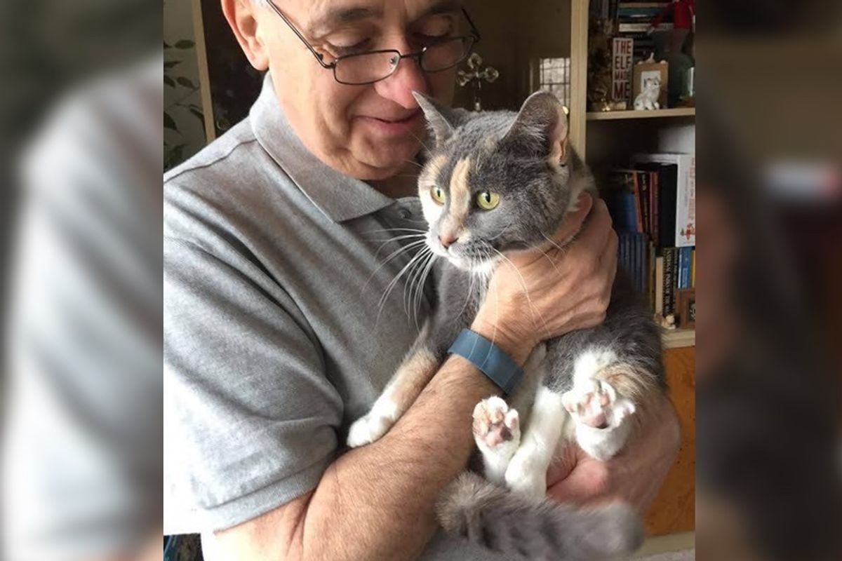 Cat Given Up to Shelter Because "She Was Not Using Litterbox" Until Rescuers Find Out Real Reasons...