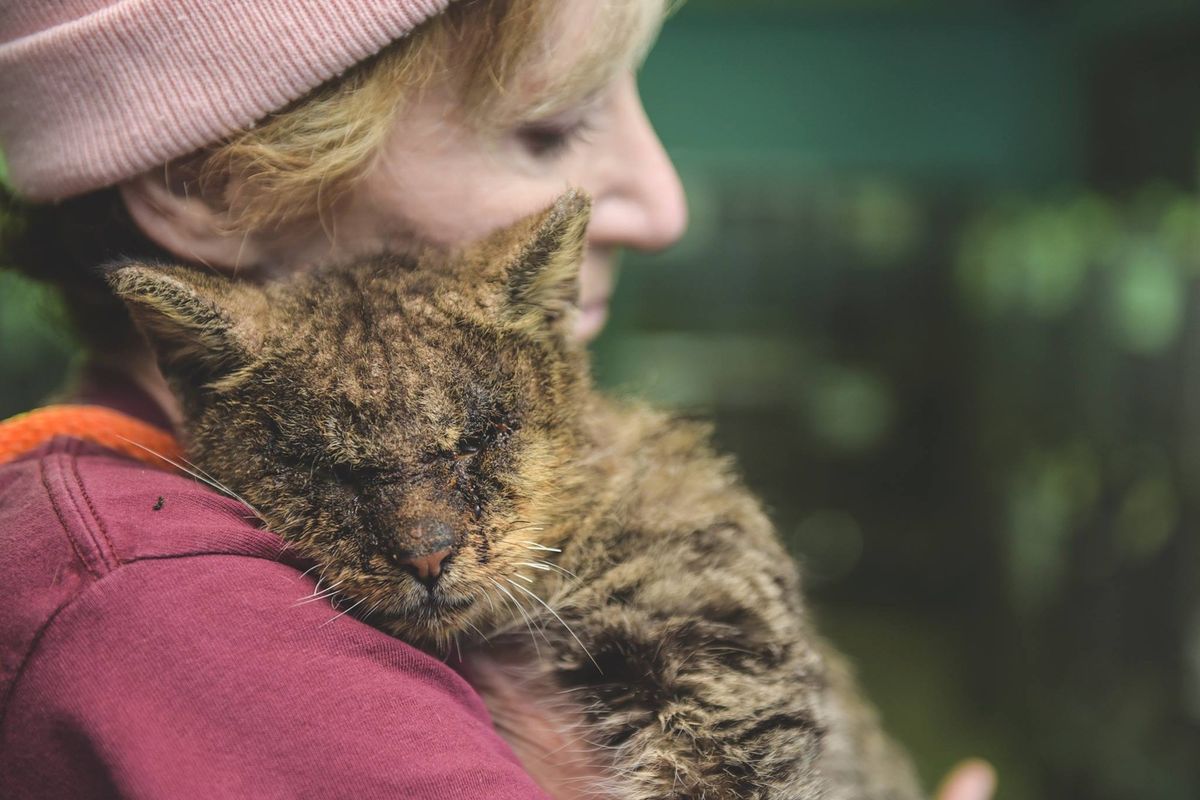 Woman Hugs Cat No One Would Touch, the Kitty So Happy He Thanks Her with the Sweetest Meow…
