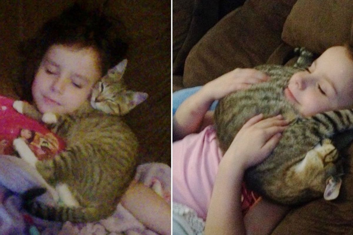Little Girl Refused to Leave Until They Saved Stray Kitten from the Woods, Now 2 Years Later..