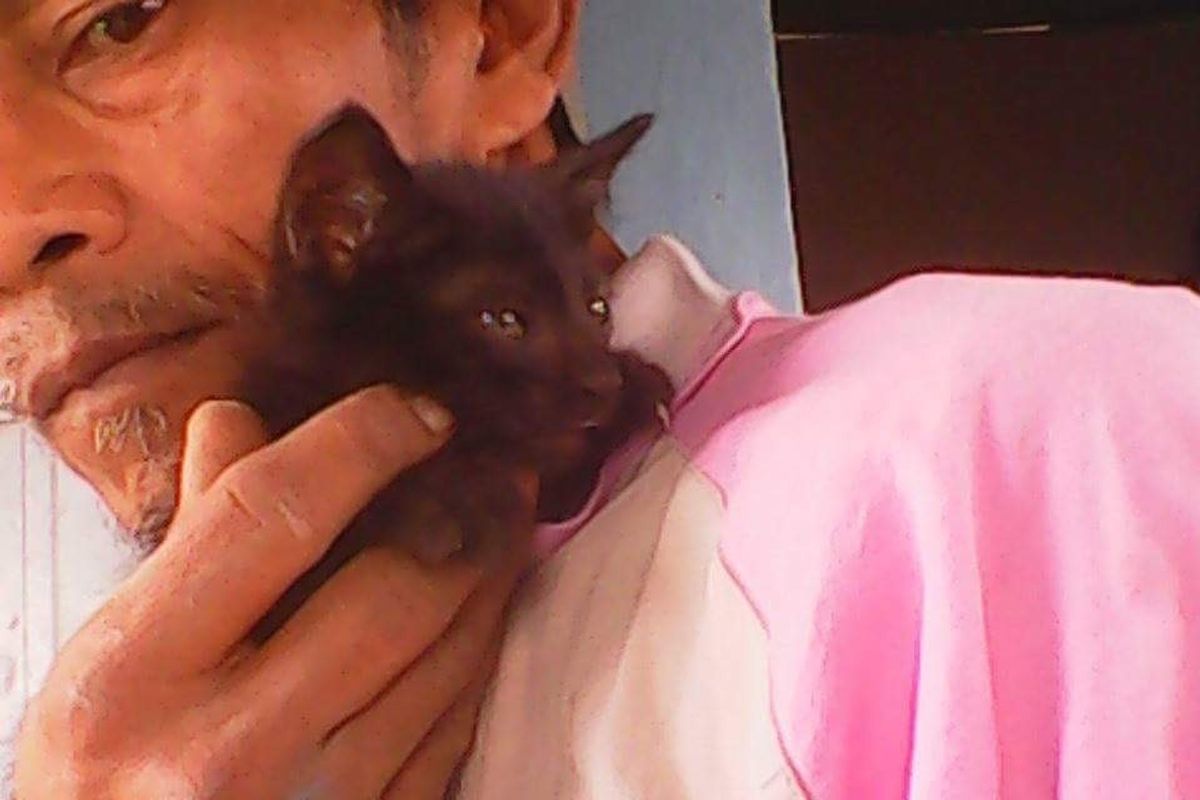 Man Saves Every Stray Cat He Finds in His Village and Turns Their Lives Around...