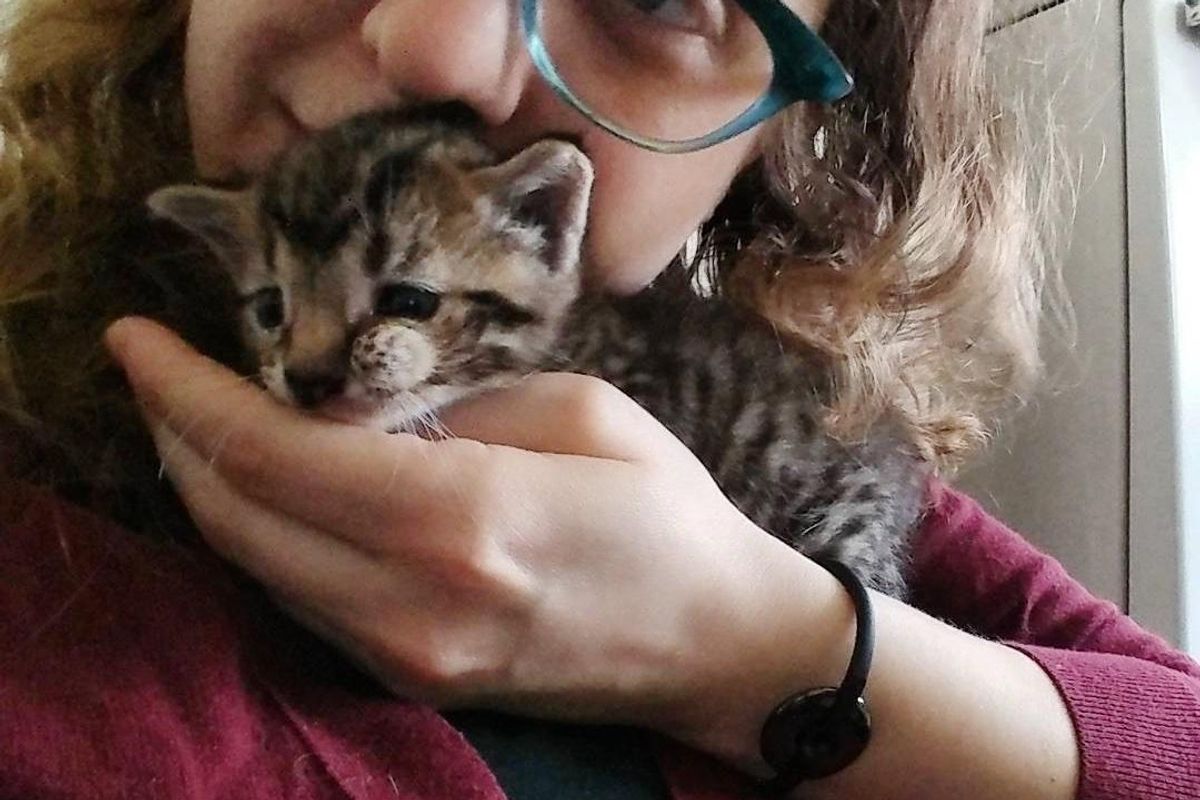 Kitten With Extra Cheek Was Given Up Because He's Different, Now Finds Love…