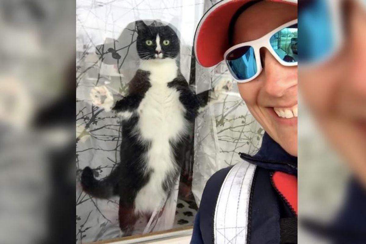 Mail Carrier is "Greeted" by a Feisty Little Fella Every Day..