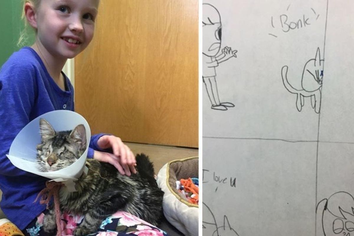 8 Year Old Girl Draws Pictures of Her Life with Blind Cat  Until Her Parents Let Her Adopt Her..