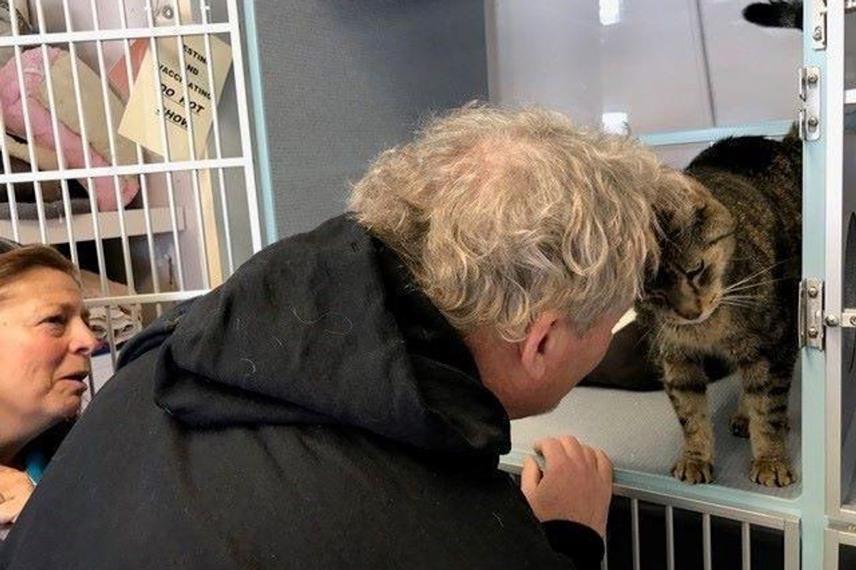 Family Saw Photos of Their Missing Cat on Shelter Page, Tearful Reunion After 2 Years...