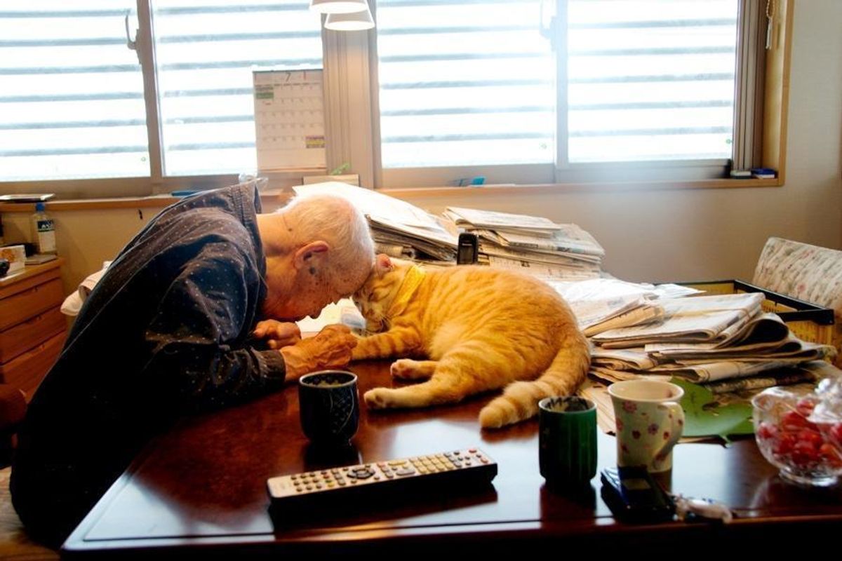 "I Got A Cat For My Sick And Grumpy Grandpa, and He Turned His Life Around"