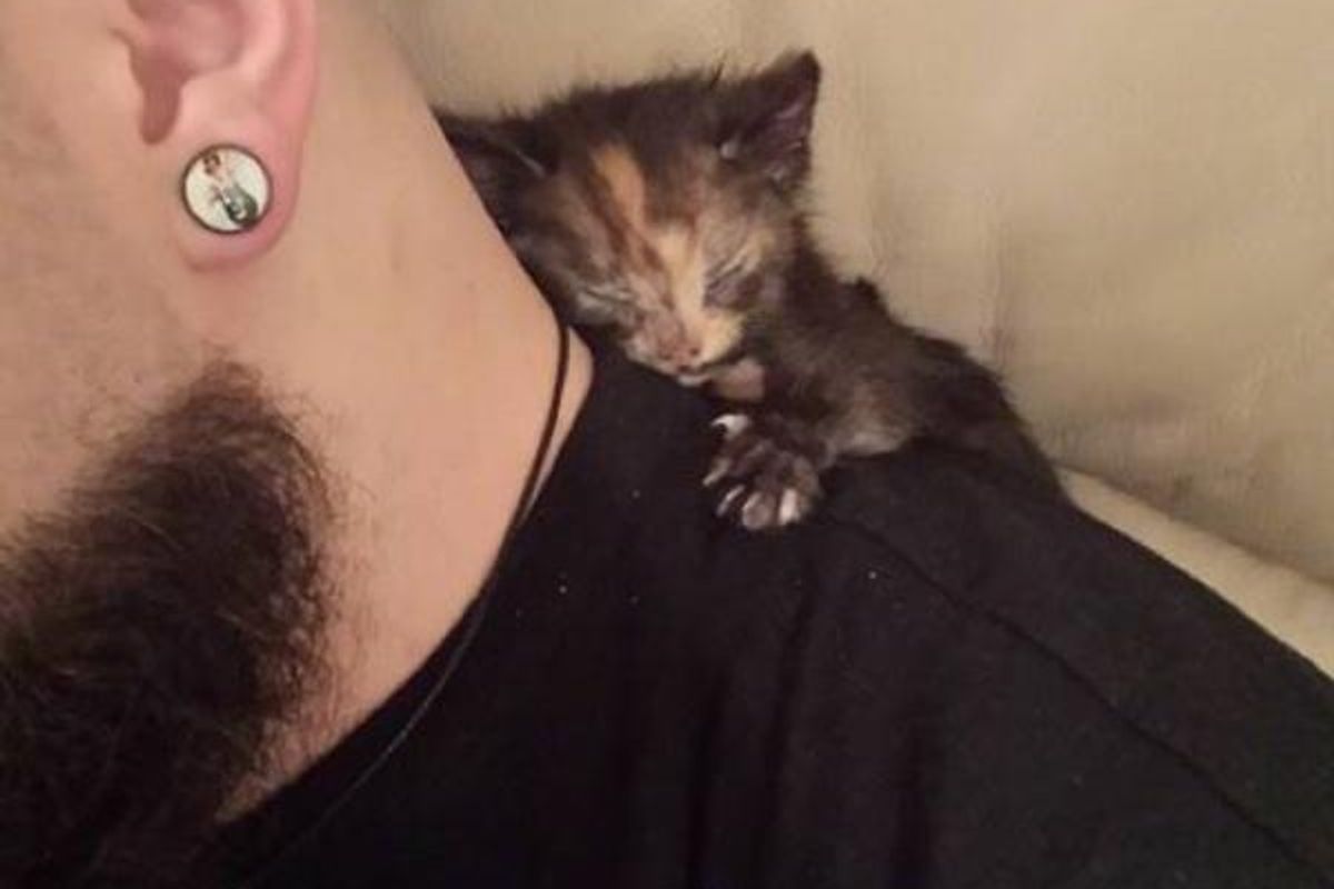 They Gave a Little Runt a Home, She Clings to Them For Life... (Then and Now)