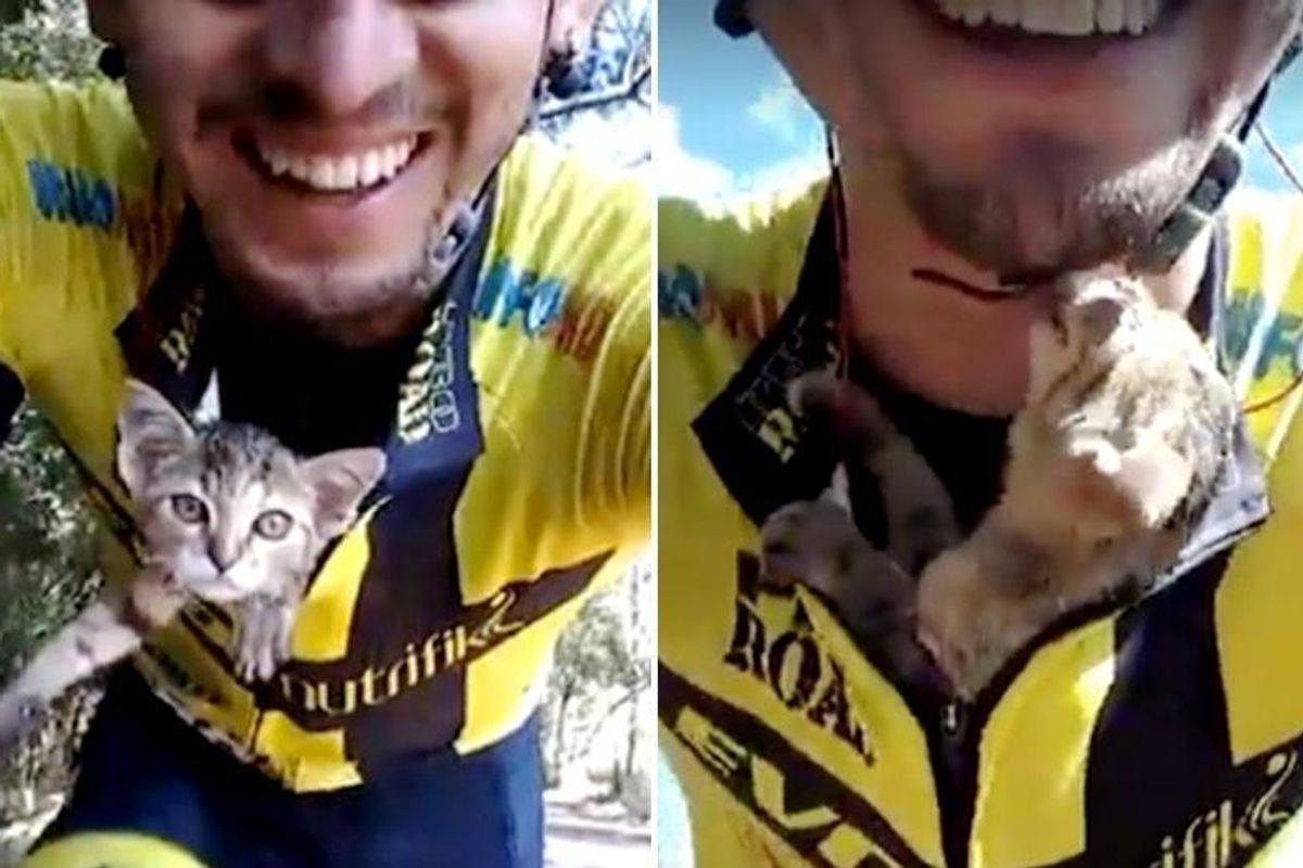 Kitten Can't Stop Kissing Cyclist Who Saved His Life...