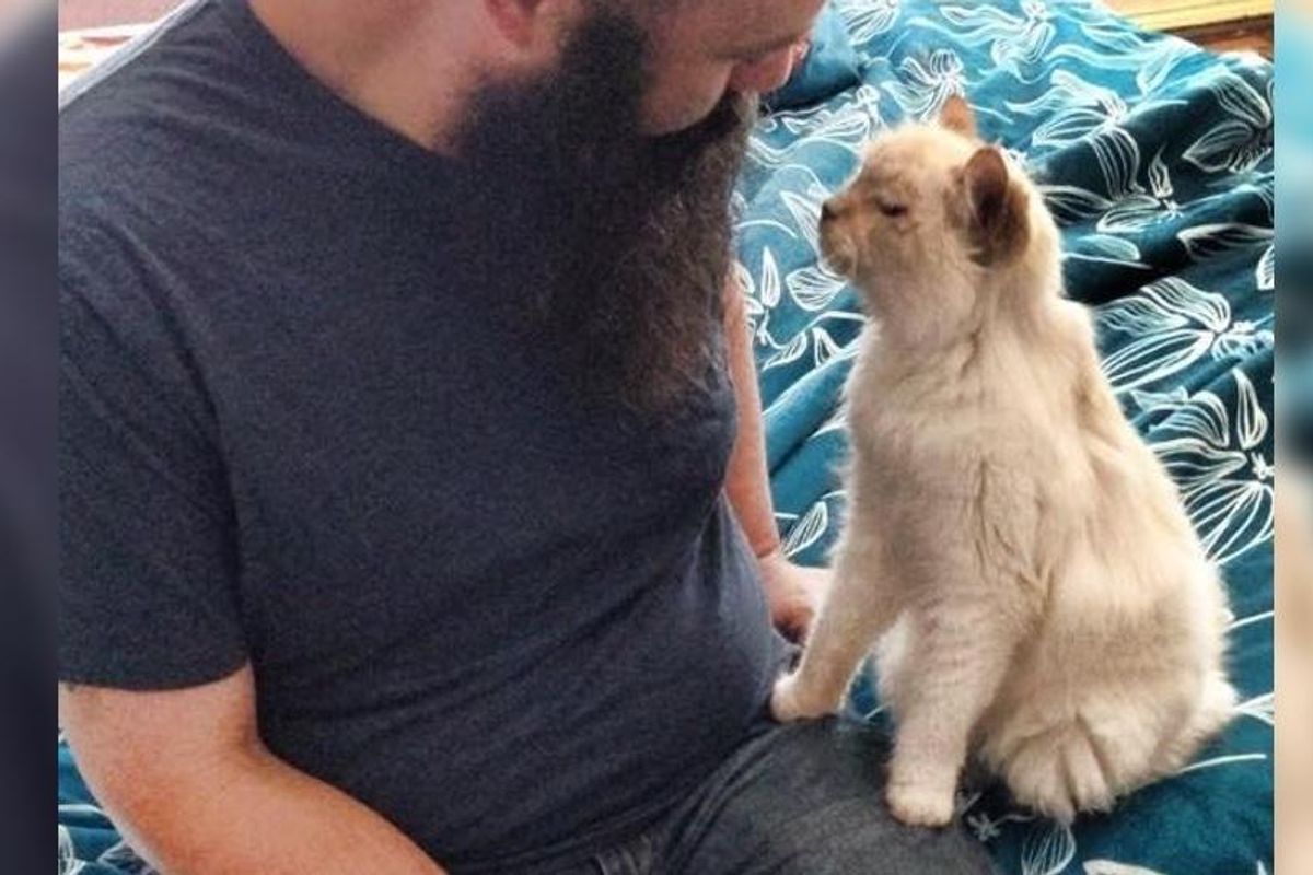 17 Year Old Abandoned Cat Tells Her New Family Everyday How Happy She is...