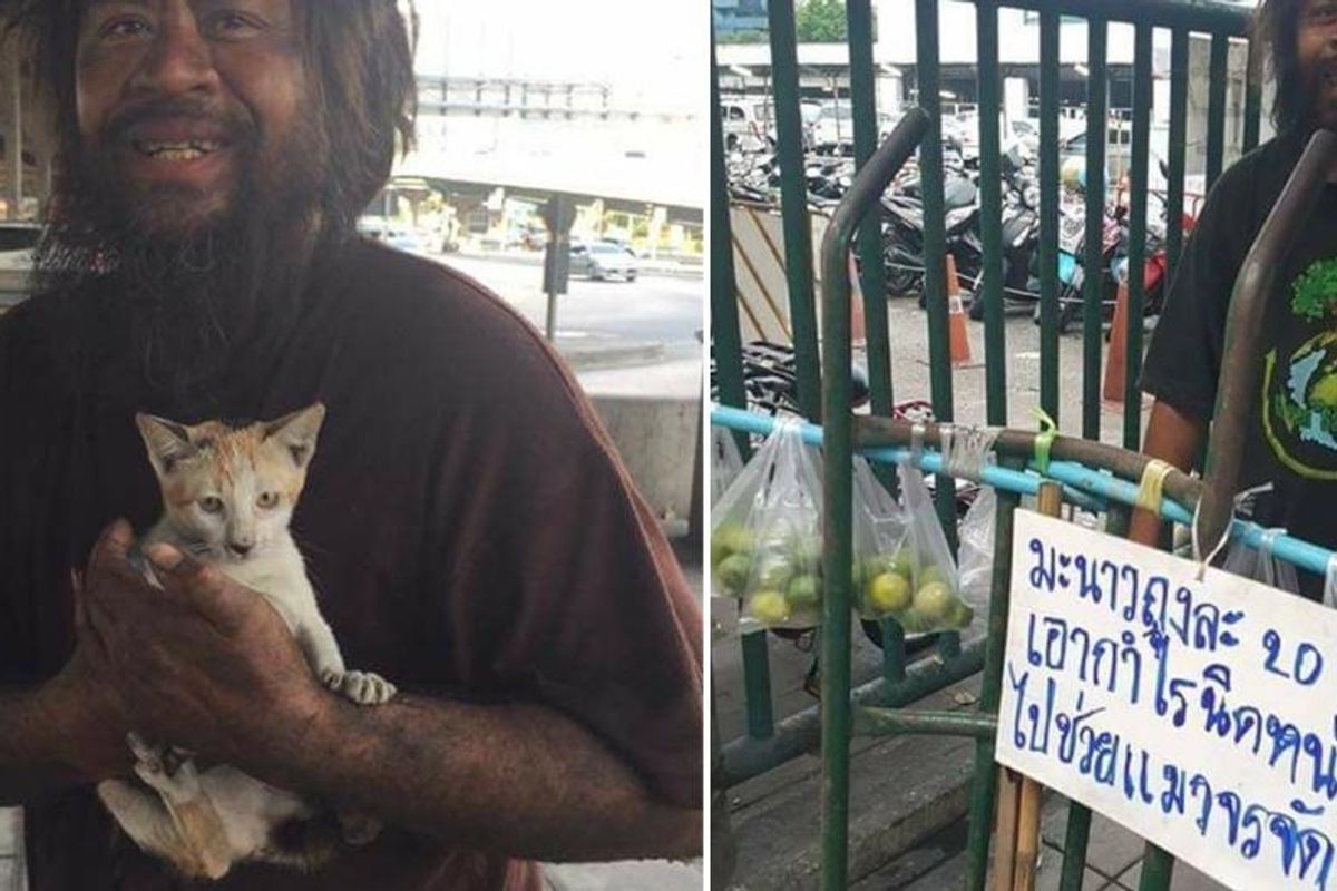 Homeless Man Raises Funds to Feed Stray Cats Before Himself Every Day...