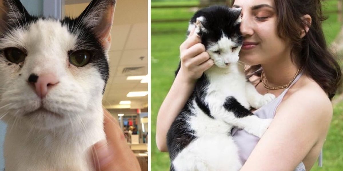 Cat Prom Adopted at 19, Cat Becomes Most Special Prom Date to His Forever Human ...