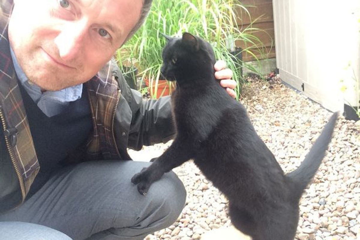 Cat Abandoned in Garden Finds Human Who Loves Her and Her Unique Paws...