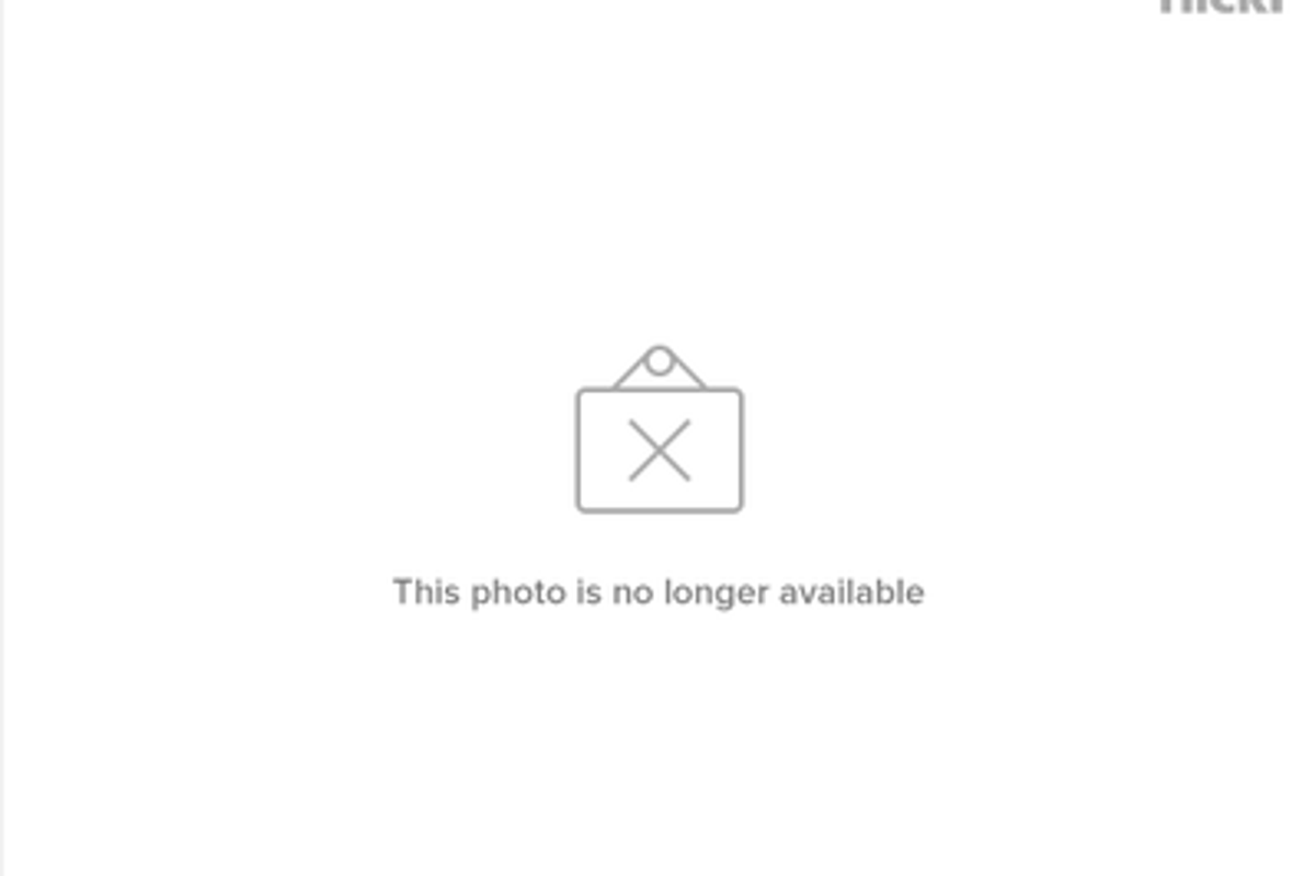 Why Does My Cat Stick His Tongue Out