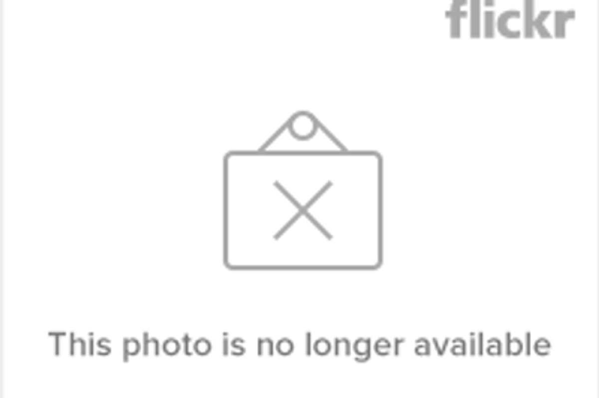 The Power of Cat Staring