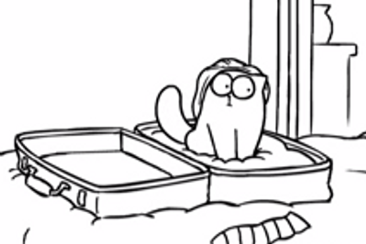 Suitcase - Simon's Cat