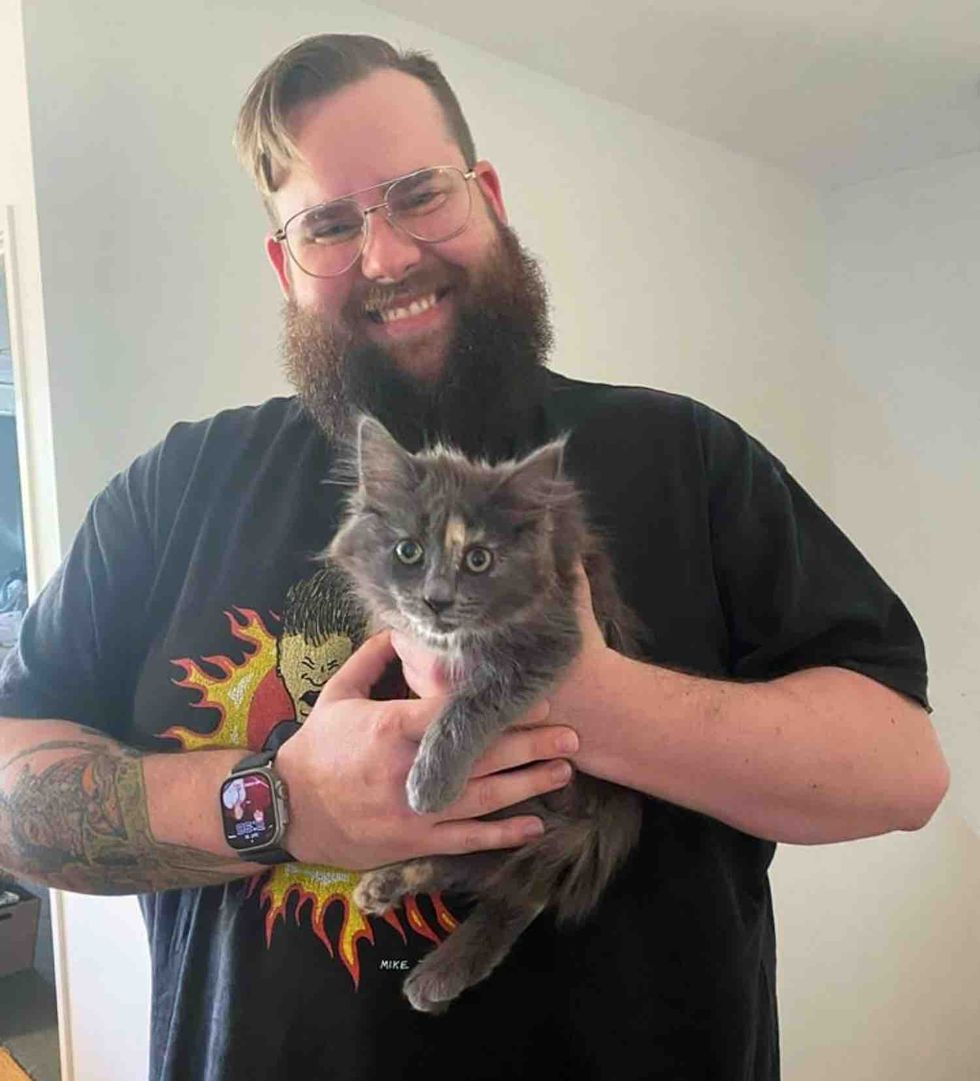 kitten cat man