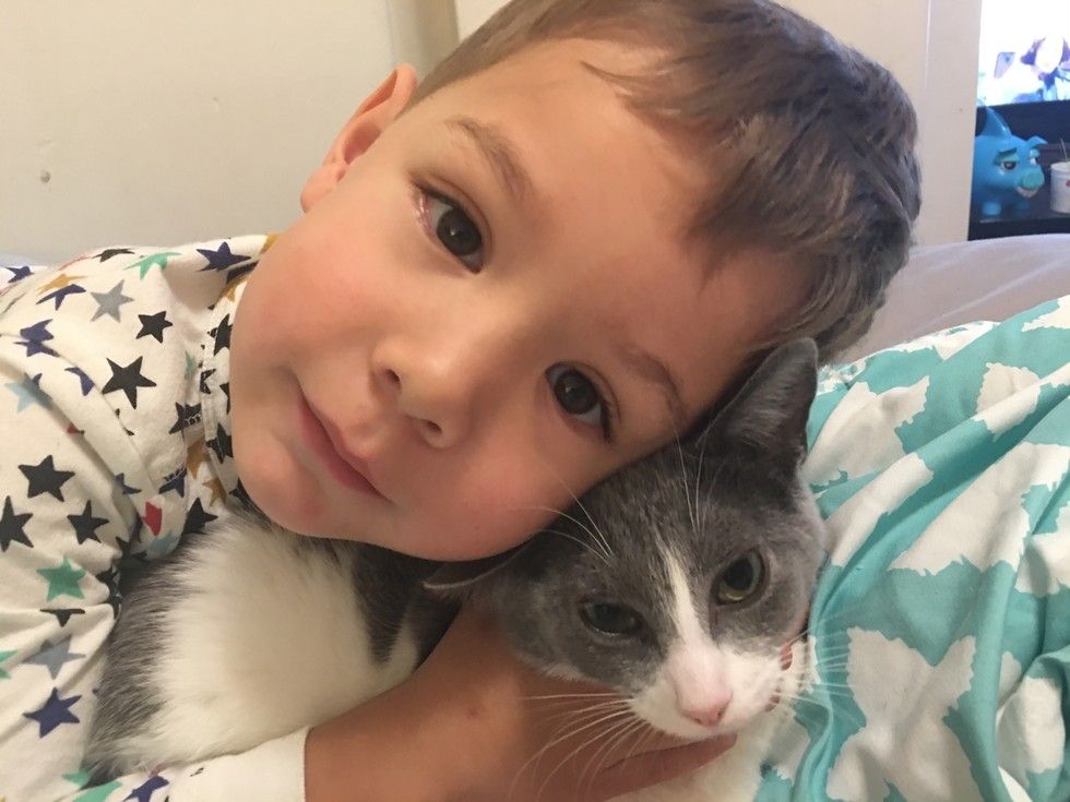 kitten found abandoned on street bodyguard little brother