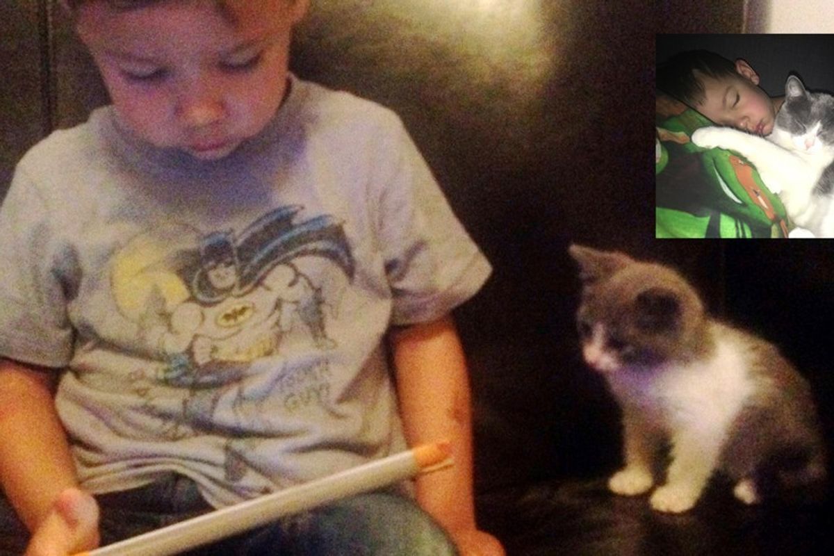 kitten found abandoned on street bodyguard little brother