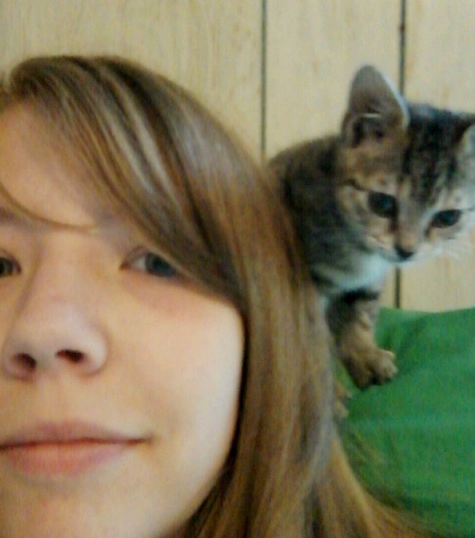 kitten found lifeless on roadside came back to life