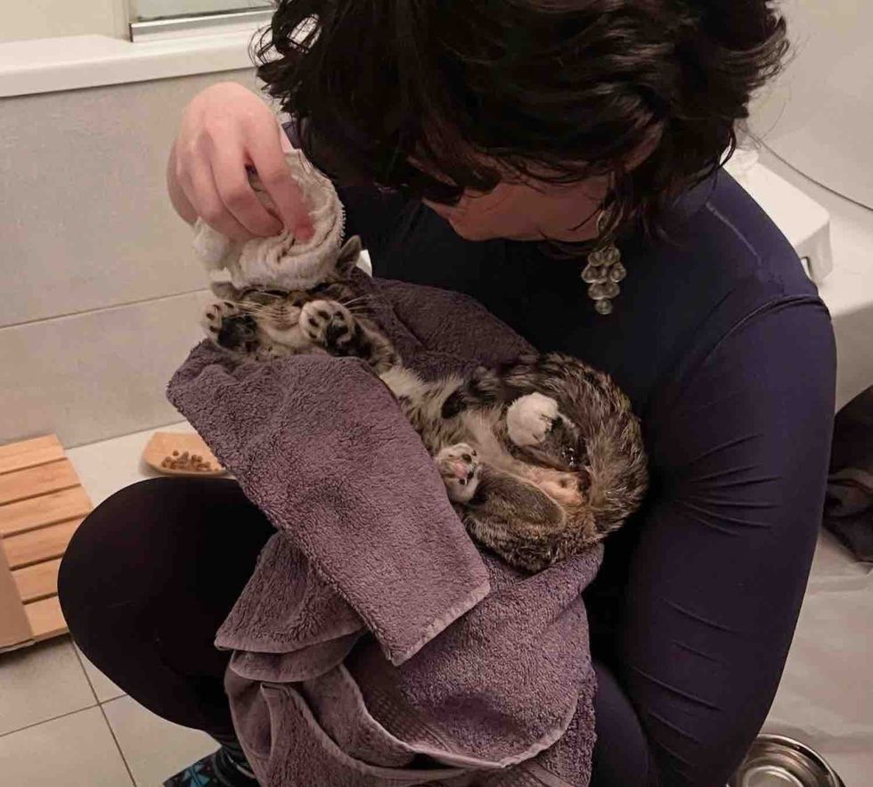 kitten getting clean