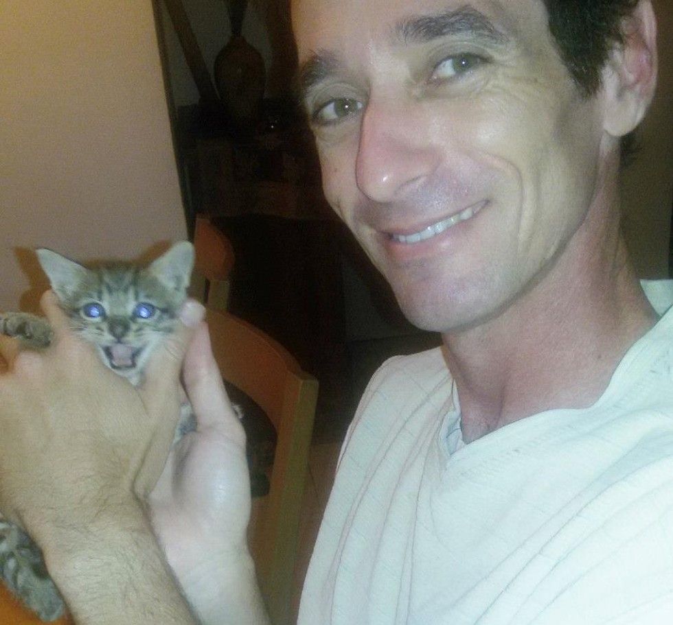 kitten rescued from roadside found love