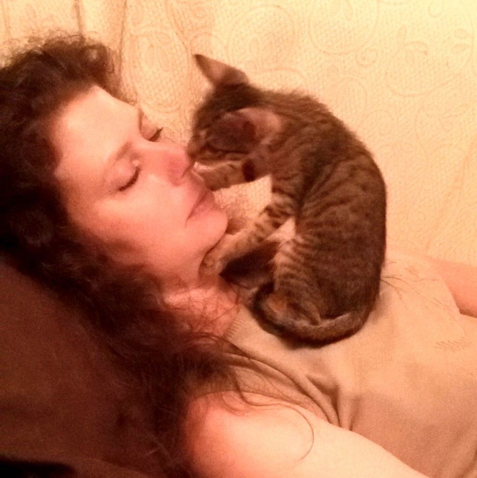 kitten rescued from roadside found love