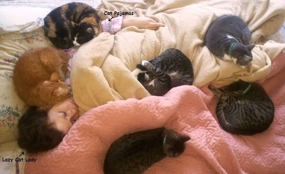 kitten rescued from roadside found love