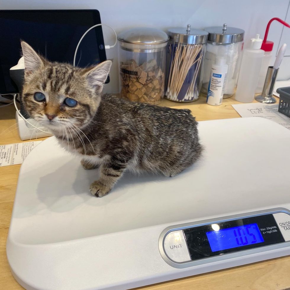 体重測定中のブリス