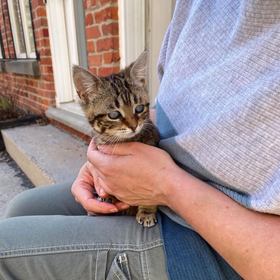 愛されるブリス