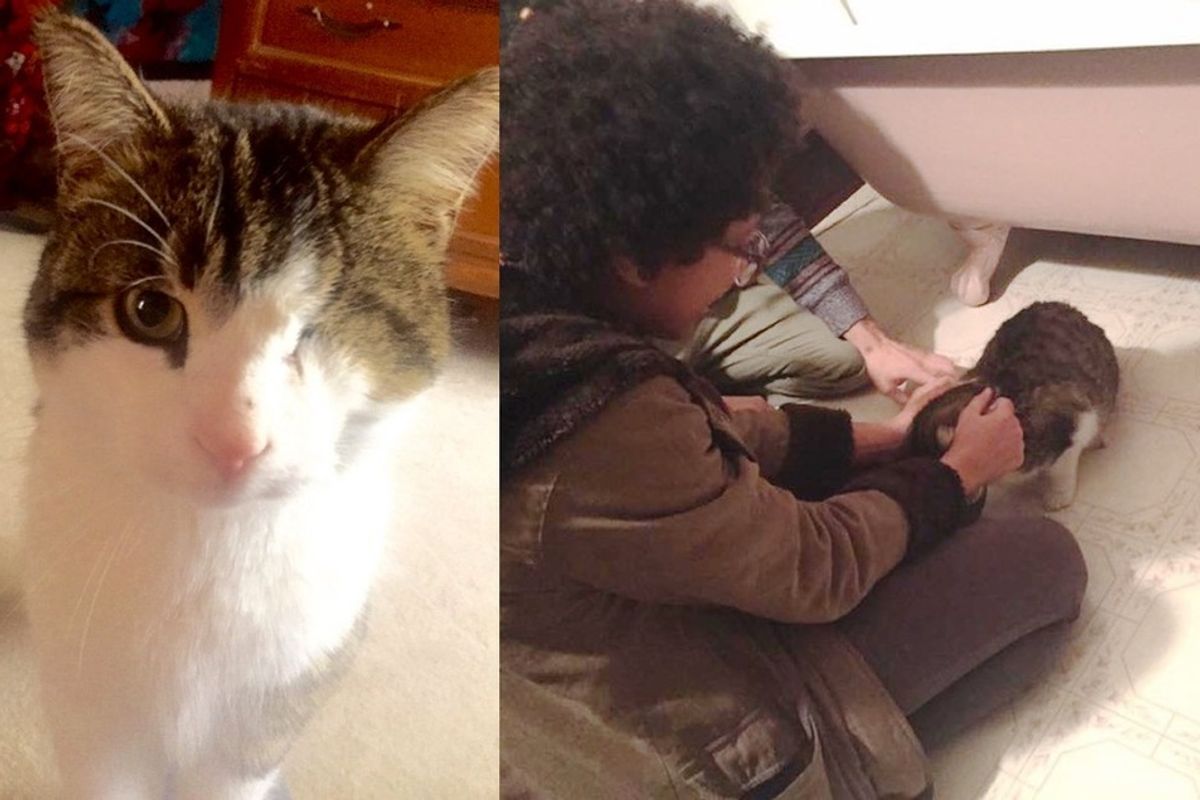 lost one-eyed cat found his family after 8 months