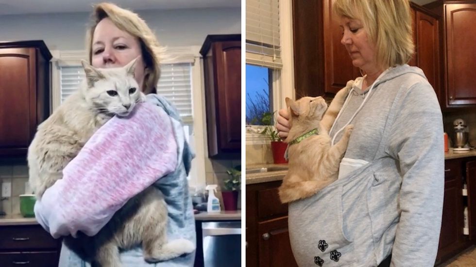 lucky the cat, cuddles